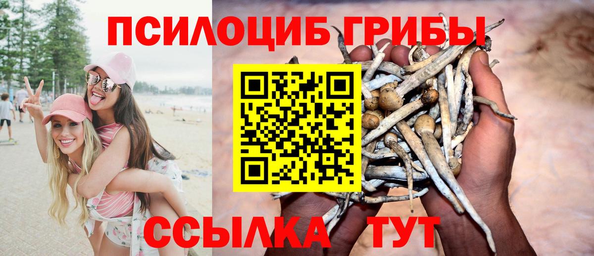 Галлюциногенные грибы GOLDEN TEACHER  Вход с VPN  Галлюциногенные грибы мухоморы  Кизляр 